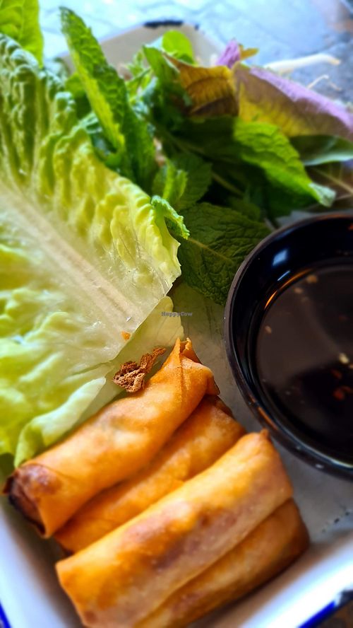 Spring rolls at St Cloud Eating House in Hawthorn