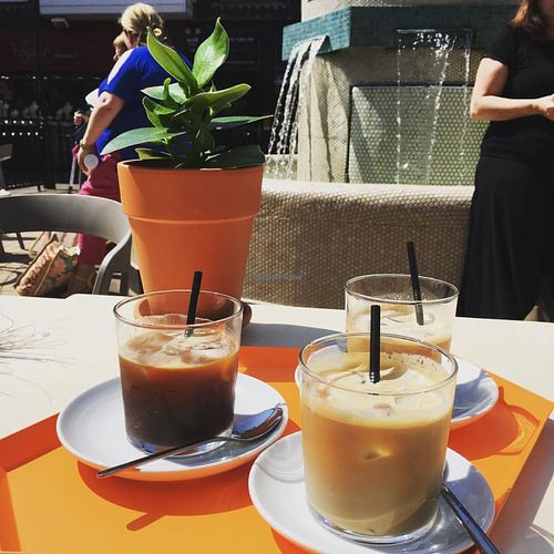 Iced coffees at The Plant Room in Brighton