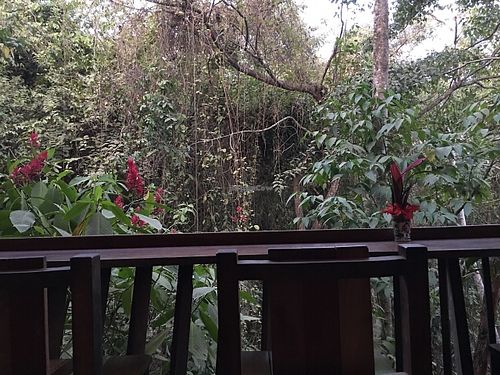 View from deck at Cocina Clandestina in Montezuma