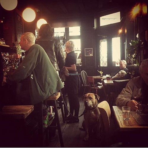 The Crown Hastings at The Crown in Hastings