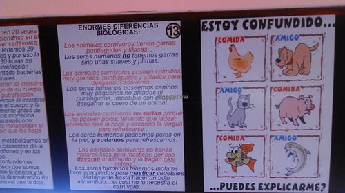 Wall Of The Restaurant at Los Robots in Medellin