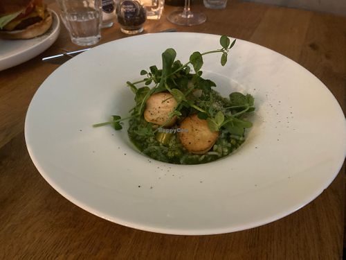 Risotto at Meatless District - Da Costabuurt in Amsterdam