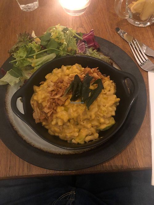 Vegan Mac and cheese at Meatless District - Da Costabuurt in Amsterdam