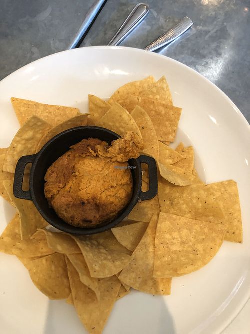 Buffalo cauliflower dip at Sticky Fingers Diner in Washington