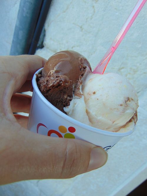 Vegan chocolate orange gelato at Gelateria al Sole in Venice