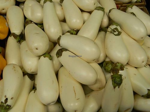 White Eggplant  at Bailey's Produce & Nursery in Pensacola