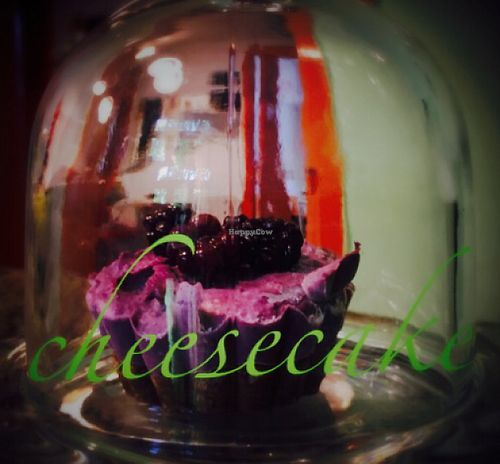 Cheesecake at Bistraw Zdravo Zivo in Skopje