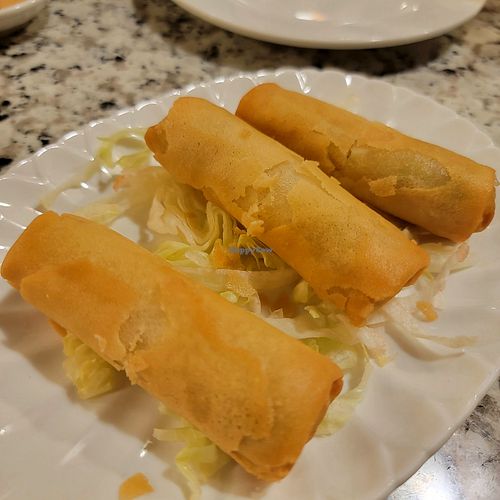 Spring Rolls at Yuan Su Vegetarian in Portland