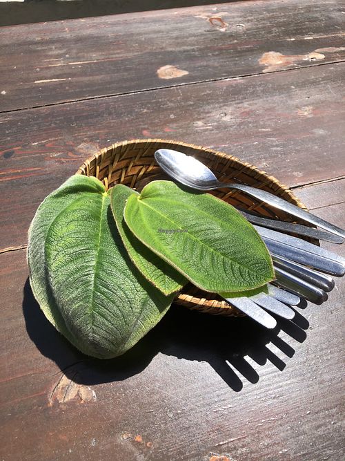 Best napkins ever 💚  at O Esconderijo in Faial