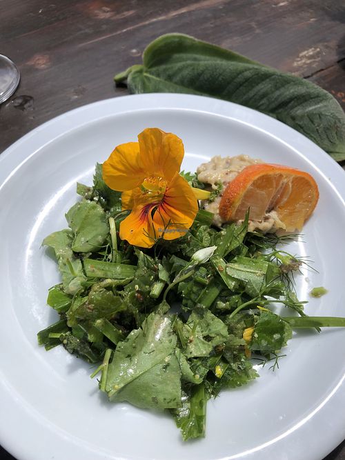 Starter - yam and mustard dip with salad   at O Esconderijo in Faial