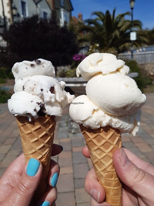 Crave Ice Cream Ventnor Isle Of Wight Ice Cream HappyCow