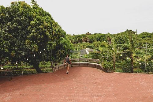 the farm at Hofi Cas Cora in Willemstad