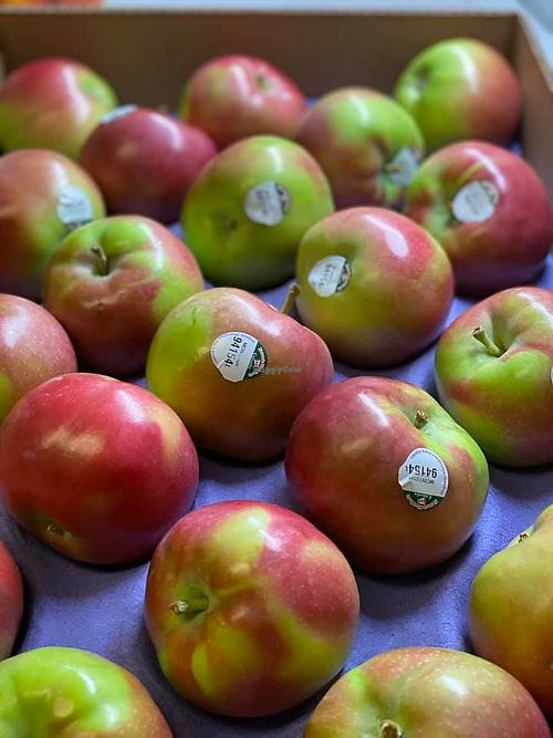 organic at The Fruit Stand  in Whitehorse