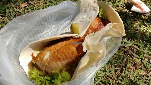 Delicious Wrap with mock meat and tofu at Fast & Vegan in Santa Cruz