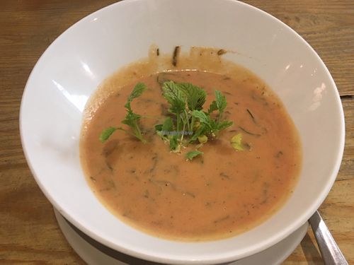 Soup of the day at 26 Vegan Food Project in Lisbon