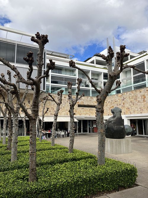   at Kindness Vegan in Darlinghurst