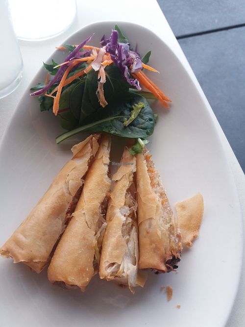 Spring rolls at Kindness Vegan in Darlinghurst