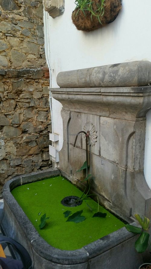 Behind the shop at Honest Chocolate Shop in Cape Town