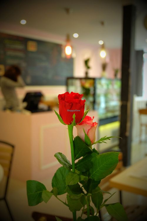 Nice place! at Sweet Rawmance in Paris