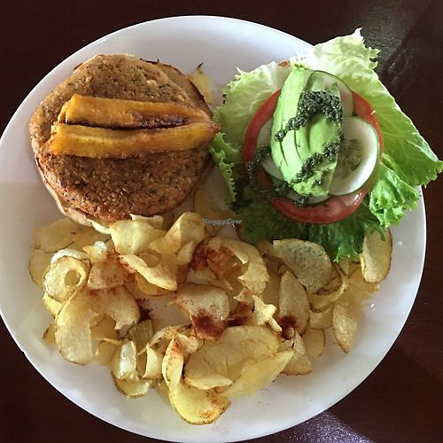 Falafel Burger with avocado and plantains at Life House Organic Restaurant in La Fortuna