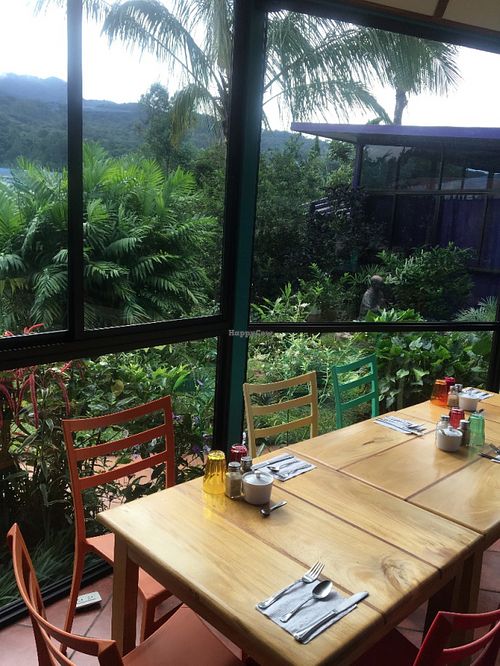 Inside our restaurant we have the perfect views of nature.  at The Greenhouse at Isla Verde in Boquete