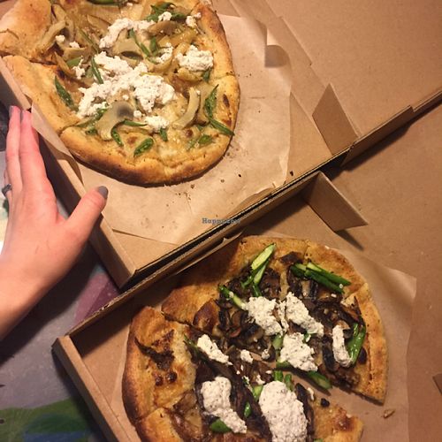 veganized pizzas ( artichoke/wild mushroom)   at True Food Kitchen - W Ave in Austin