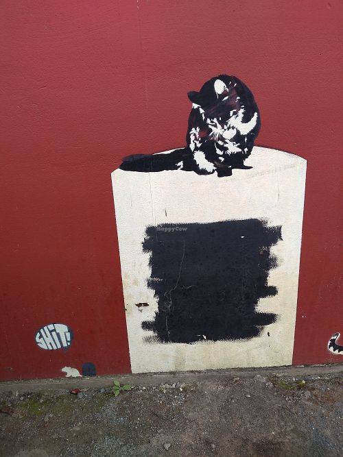 Cat and mouse at The Whistling Cat in Mount Gambier