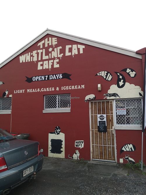 Rear entryway at The Whistling Cat in Mount Gambier