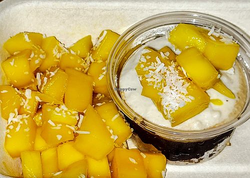 Raw Vegan "Cheesecake" to go. I wouldn't call it "cheesecake", but would call it scrumptious. Absolutely delectable. at Bodhi Tree Cafe in Chiang Mai