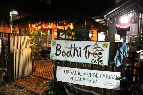 Bodhi Tree from the small alley behind De Naga hotel.  at Bodhi Tree Cafe in Chiang Mai
