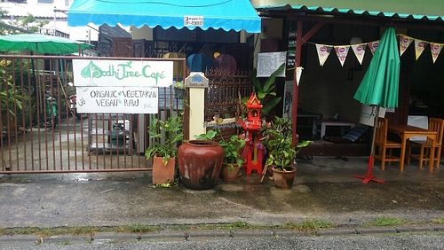 street front at Bodhi Tree Cafe in Chiang Mai