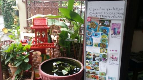 front garden at Bodhi Tree Cafe in Chiang Mai