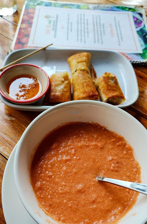 Blended Gazpacho and spring rolls.  #Veganuary at Bodhi Tree Cafe in Chiang Mai