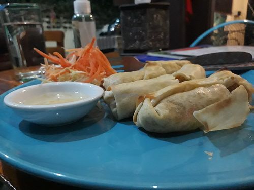 Spring rolls (non-fried) at Bodhi Tree Cafe in Chiang Mai