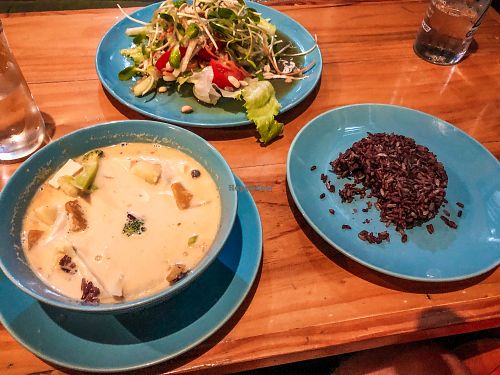 Massaman, brown rice and cucumber salad at Bodhi Tree Cafe in Chiang Mai