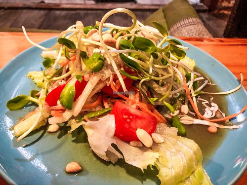 Delicious cucumber salad with lime dressing at Bodhi Tree Cafe in Chiang Mai