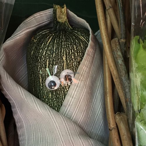 organic vegetables for sale at Castle Farm Cafe in Bath