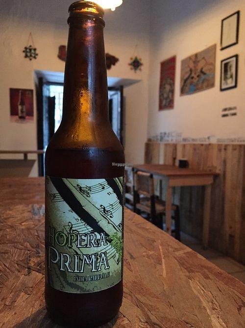 artisanal beer at Los De Abajo in Zacatecas