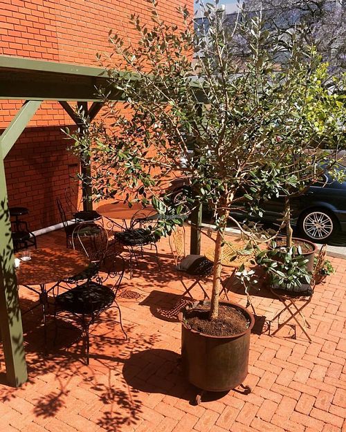 outdoor seating area at back  at Raw + More Cafe in West Perth