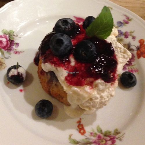 blueberry muffin at Little Saebejae in Tokyo