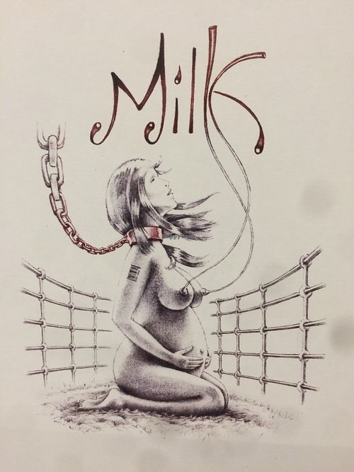 Art piece  at Wani Vegan Bakery in Rome