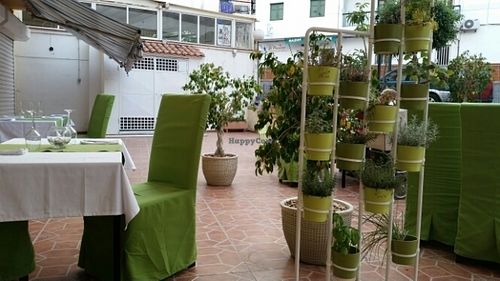 Just beautiful at Daniela - Creative Vegan Cuisine in Los Cristianos