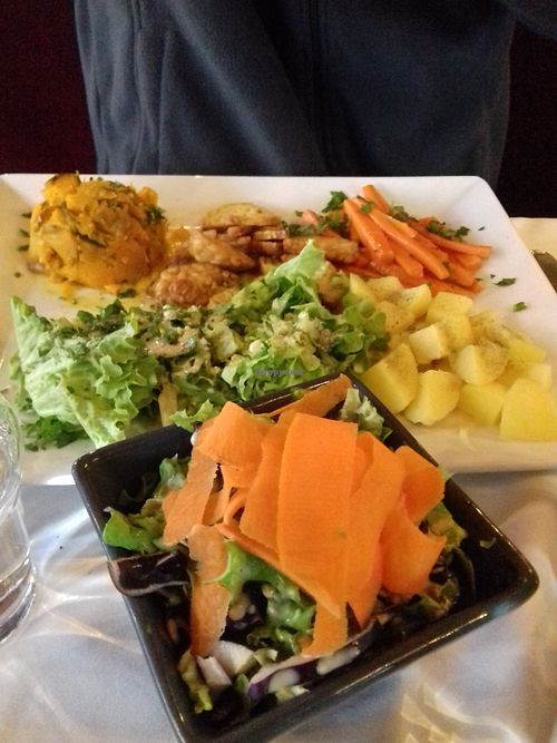 Salade 4.50€, assiette veggie (vegan) at La Salamandre in Etretat