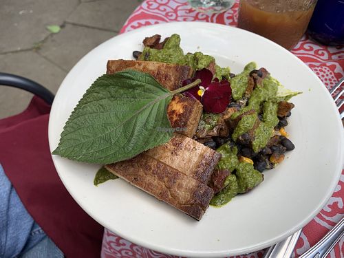 Burrito bowl plus tofu at Origins Cafe in Cooperstown
