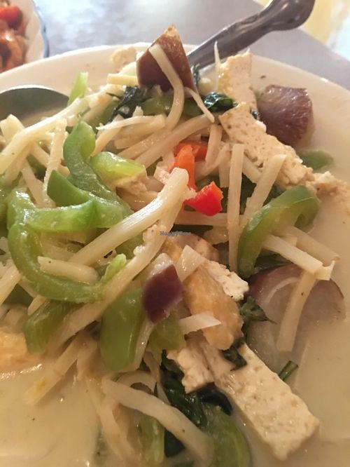 Rich Green curry at Thai Lotus in Salem