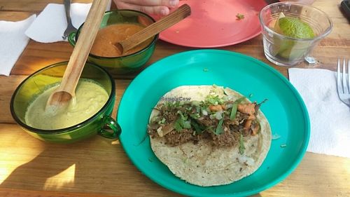 eggplant taco. good! but small at Veguisima in Mexico City