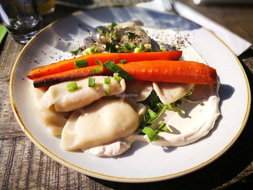 main dish: homemade dumplings (pierogis?) with vegan sour cream  at Veganic in Krakow