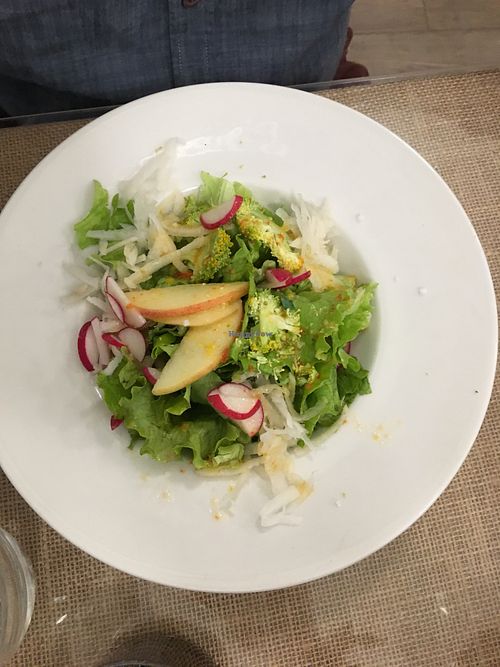 Salad at El Fogon Verde in Madrid