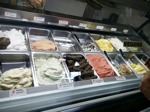 So many options for vegan ice cream!  at La Gelateria del Barri - Born La Ribera in Barcelona