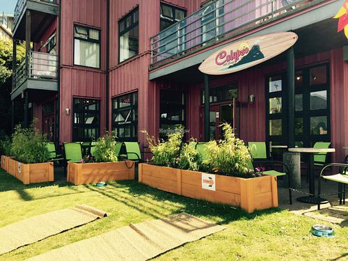 Outdoor patio at Calypso Roti Shop in Tofino